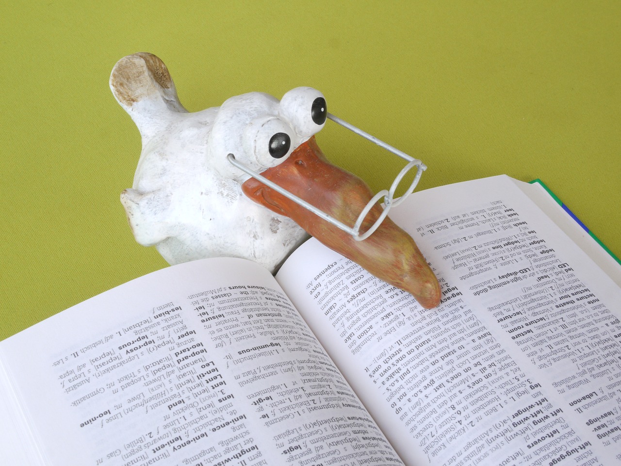 Bird with beak on book