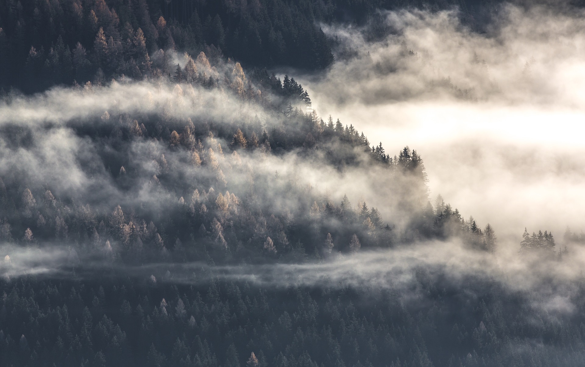 foggy atmosphere