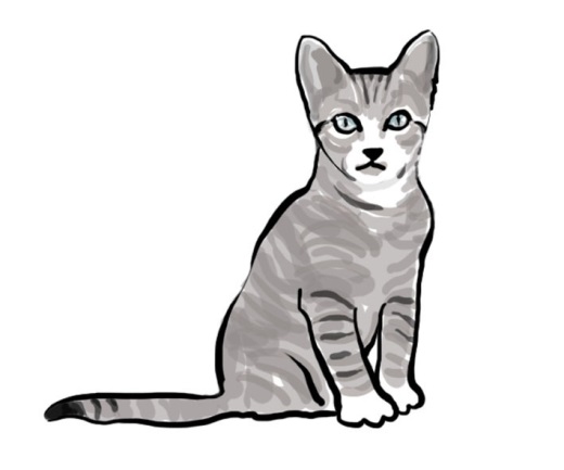 ms clipart site