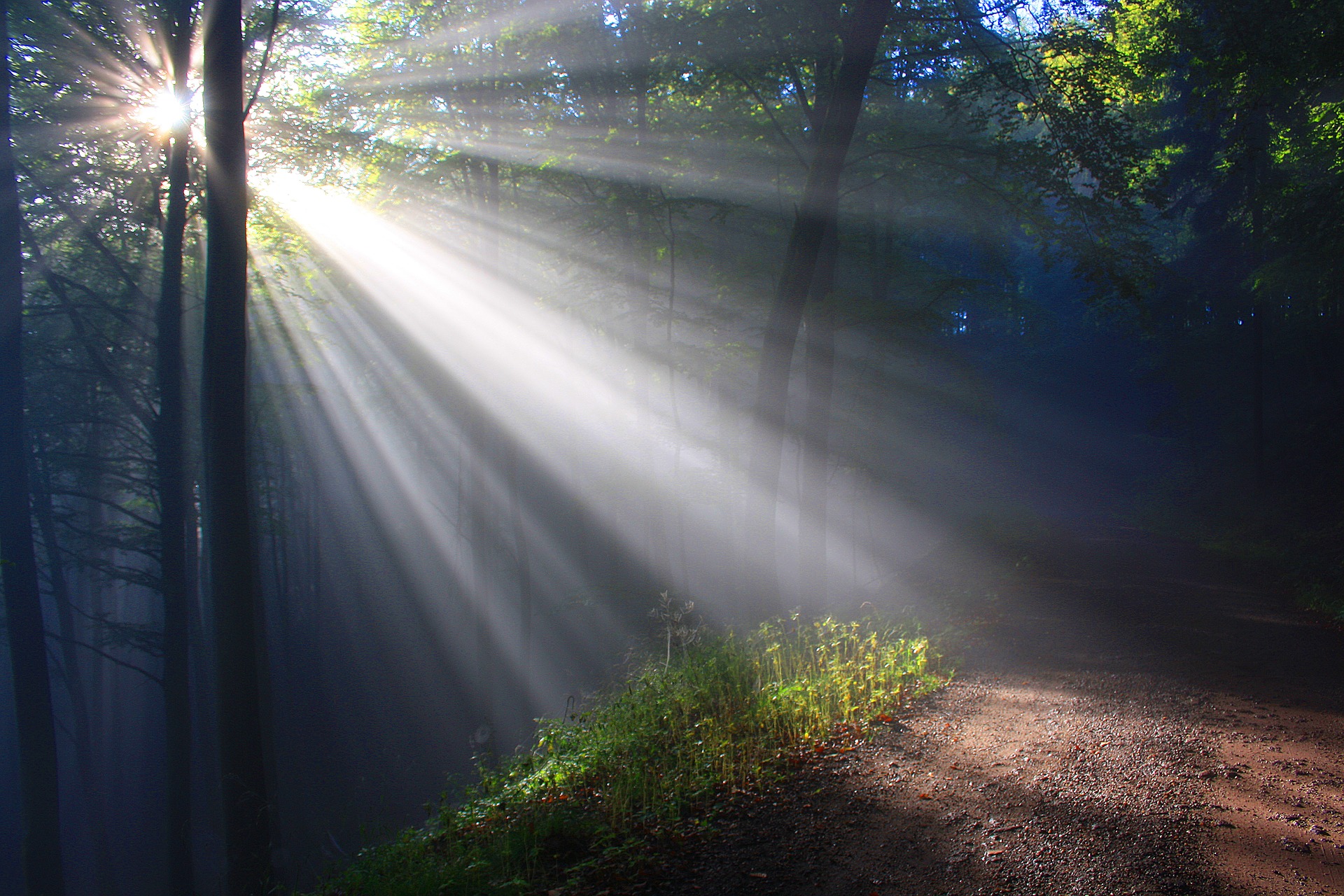 sunbeam